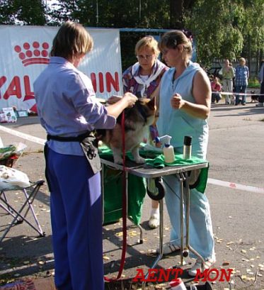 Выставка УЛЫБАЮЩИЙСЯ КОРГИ-2006